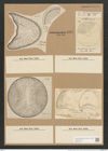 Campylodiscus echeneis Ehr. (de-Toni-Nr.: Genus 57, Species 2450) Zeichnungen Sammlung Grunow Nr. 4933 (NHMW-BOT-W0373144)